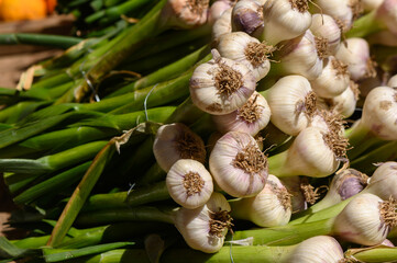 Freshly harvested garlic bulbs and green stalks displayed at a vibrant farmer's market in mid-autumn