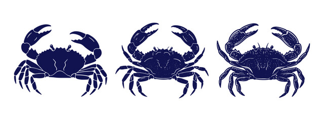 Navy crab vector engraving hand drawn illustration