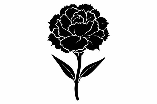 black carnation flower silhouette on white background clip art preview