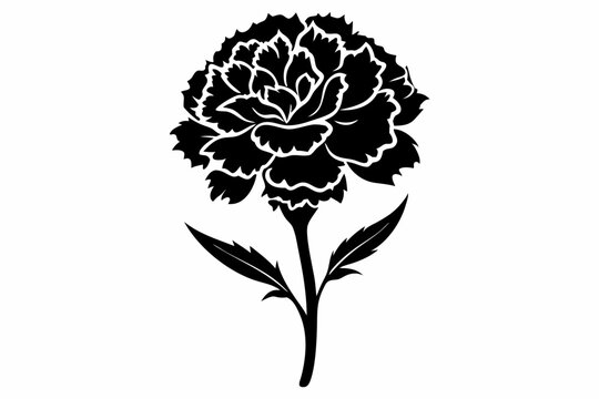 black carnation flower on white background clip art preview