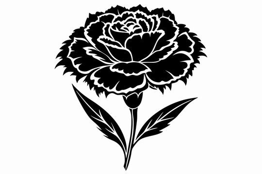 black carnation flower on white background clip art preview