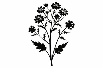 delicate wildflower blooms line art silhouette vector illustration