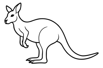 Abstract Kangaroo Linework