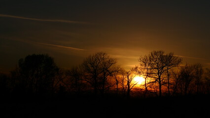 Baumsilhouetten in der untergehenden Sonne, Bucklige Welt in Niederösterreich
