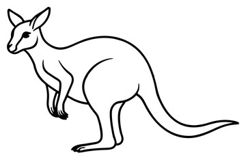 Abstract Kangaroo Linework