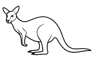 Abstract Kangaroo Linework