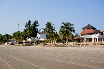 Une vache sur une plage en Casamance dans le sud du Sénégal en Afrique de l'Ouest