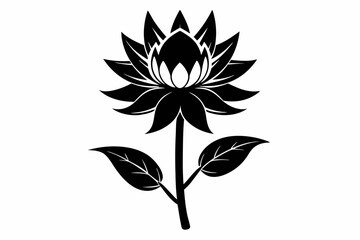 zephyrettes flower line art silhouette vector illustration