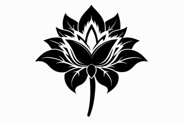 Obraz premium zephyrettes flower line art silhouette vector illustration