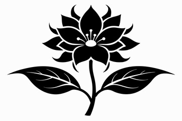 Fototapeta premium zephyrettes flower line art silhouette vector illustration