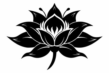 Obraz premium zephyrettes flower line art silhouette vector illustration