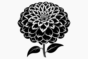 zinnia flower line art silhouette vector illustration