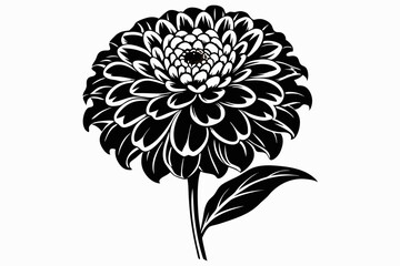 zinnia flower line art silhouette vector illustration