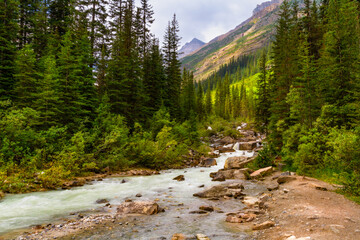 Rocky Mountains. Hiking trail to the Six Glacier Plain. A small glacial stream along the trail...