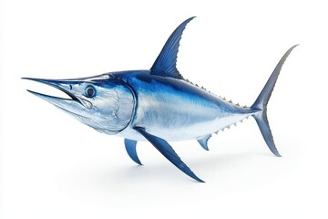 Obraz premium Blue Marlin display set against a white backdrop