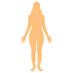 Fototapeta premium Female full body human anatomy silhouettes Medical and scientific concept