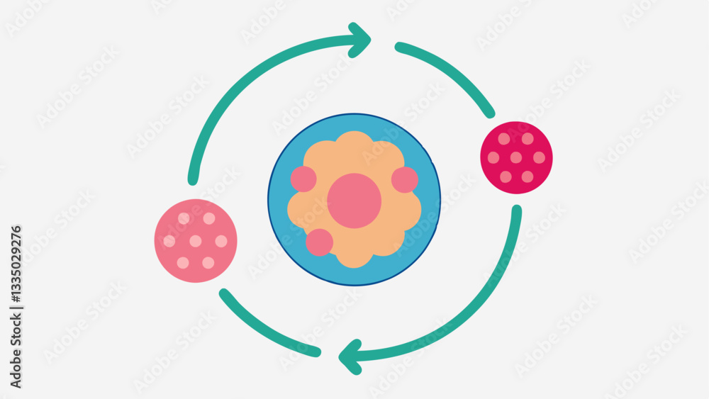 Poster regenerative cycle a circular diagram showing the lifecycle of skin cells with arrows indicating the