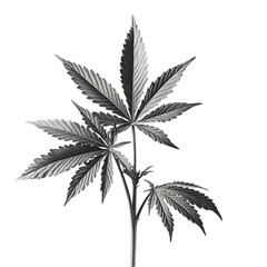 Cannabis plant monochrome glitch art design