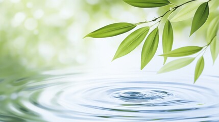 Tranquil Water Surface with Green Leaves and Soft Bokeh Background