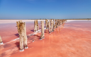 Pink Salt Lake and Shoreline