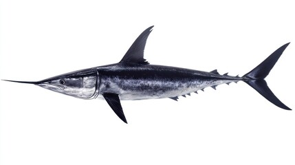 Naklejka premium Majestic Swordfish: A Study in Oceanic Elegance