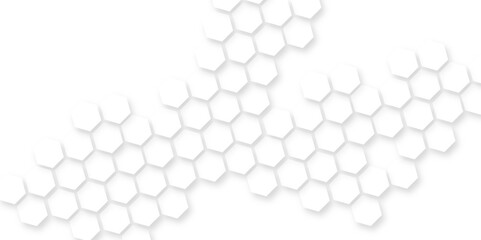 abstract hexagonal geometric mesh cell texture. modern futuristic wallpaper, futuristic nature background modern and sophisticated pattern in bright, beautiful geometric pattern white gray hexagonal.