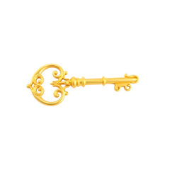 A single ornate golden key isolated on a  transparent  background with intricate designs and smooth reflections