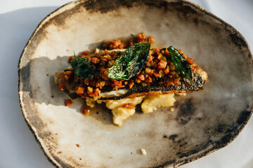 MERLUZA PLATO COCINA PREMIUM