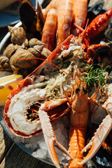 MARISCO PLATO PREMIUM ESPA&Ntilde;A