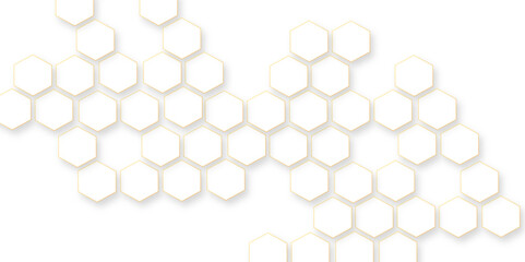  Abstract white vector wallpaper with hexagon grid, clear pattern abstract background hexagon white,  futuristic abstract honeycomb mosaic white background, glowing white hexagonal background.