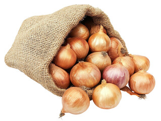 Isolated Burlap Sack with Onions