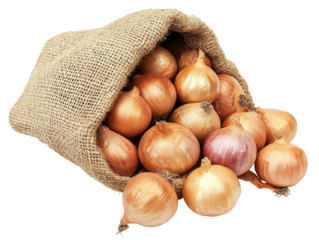Isolated Burlap Sack with Onions