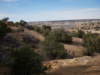 Farmington New Mexico desert landscape with view of colorful bluffs and pinyon pine