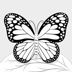 Cute Butterfly Coloring Sheet for Kids