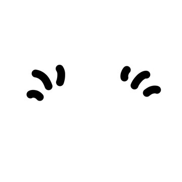 paw prints on white background