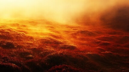 Fototapeta premium Golden Sunrise Over Misty Meadow with Vibrant Orange Hues