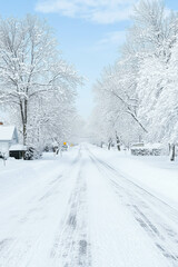 Winter wonderland in a snow-covered suburban street with bare trees