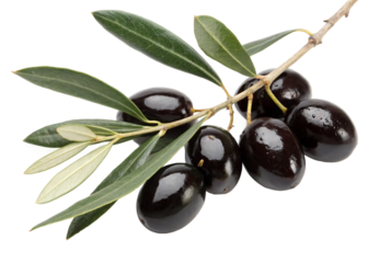 black olives isolated on transparent