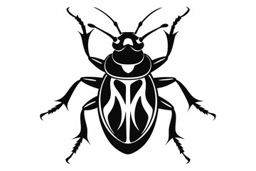 bombardier beetle line art silhouette vector illustration