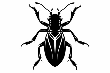 bombardier beetle line art silhouette vector illustration