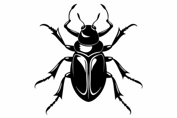 bombardier beetle line art silhouette vector illustration