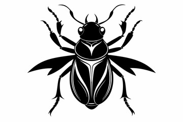 bombardier beetle line art silhouette vector illustration