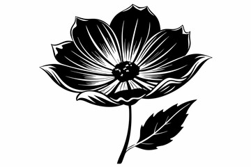 cosmos flower line art silhouette vector illustration