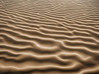 Obraz premium Serene desert sand ripples capturing nature's art of wind and texture