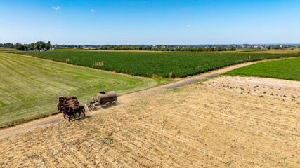 Wide View of Farmlands With Horse Pulled Manure Equipment Along a Dirt Road in Rural Setting