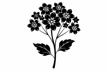 verbena flower line art silhouette vector illustration