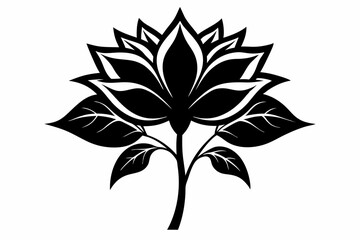 zephyrettes flower line art silhouette vector illustration