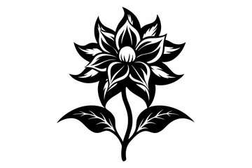 zephyrettes flower line art silhouette vector illustration