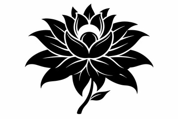 zephyrettes flower line art silhouette vector illustration