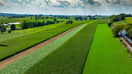 Vibrant Green Agricultural Fields Under a Clear Sky Showcase Crop Diversity in a Rural Landscape...
